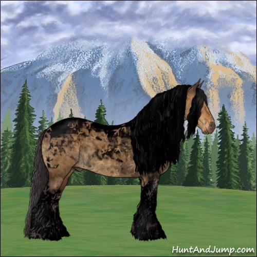 Horse Color:Void Buckskin Roan Dun Tobiano 