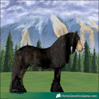 Horse Color:Void Buckskin Roan Dun Tobiano 