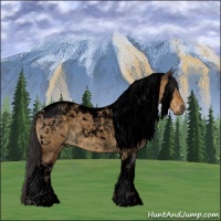 Horse Color:Void Buckskin Roan Dun Tobiano 