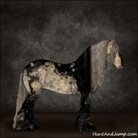 Horse Color:Void Chocolate Palomino Dun Tobiano 