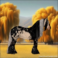 Horse Color:Void Silver Brown Dun Tobiano Blanket 