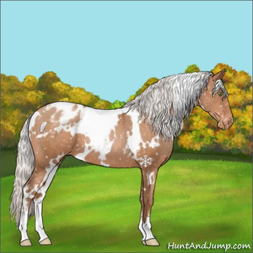 Horse Color:White Spotted Silver Brown Pearl Appaloosa 
