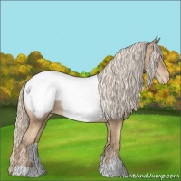 Horse Color:Chocolate Palomino Pearl Appaloosa 
