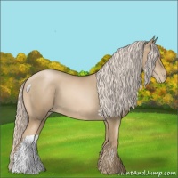 Horse Color:Chocolate Palomino Pearl 