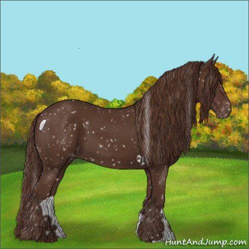Horse Color:Liver Chestnut Snowflake Varnish 