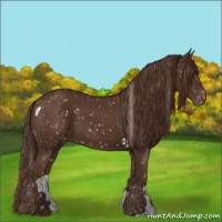Horse Color:Liver Chestnut Snowflake Varnish 