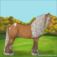 Horse Color:Silver Buckskin Snowflake Varnish 