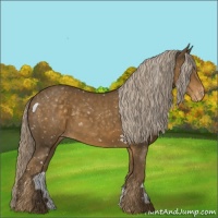 Horse Color:Chocolate Palomino Appaloosa