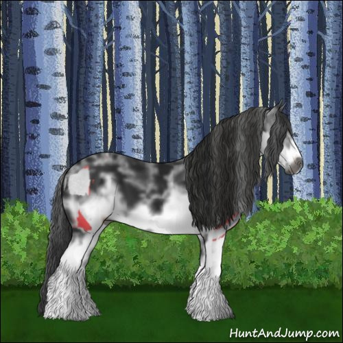 Horse Color:Gray White Spotted Black  and Gray White Spotted Black Frame 