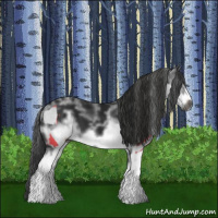 Horse Color:Gray White Spotted Black  and Gray White Spotted Black Frame 