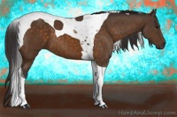 Horse Color:Buckskin Tobiano 