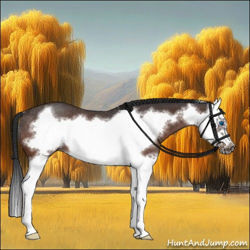 Horse Color:Brown Roan Sabino Splash Frame Rabicano