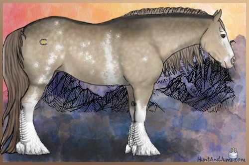 Horse Color:White Spotted Chocolate Palomino Dun Sabino 