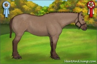 Horse Color:Liver Red Dun 