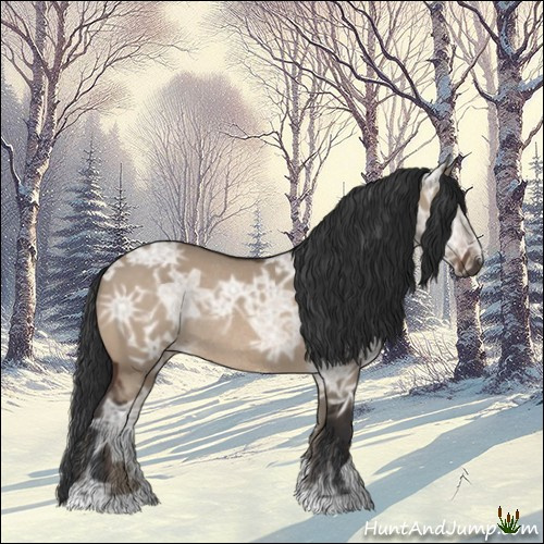 Horse Color:Brown Ice Dun Rabicano 