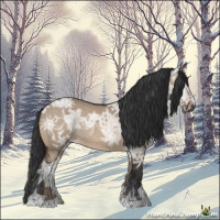 Horse Color:Brown Ice Dun Rabicano