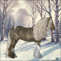 Horse Color:Palomino Ice Dun Tobiano 