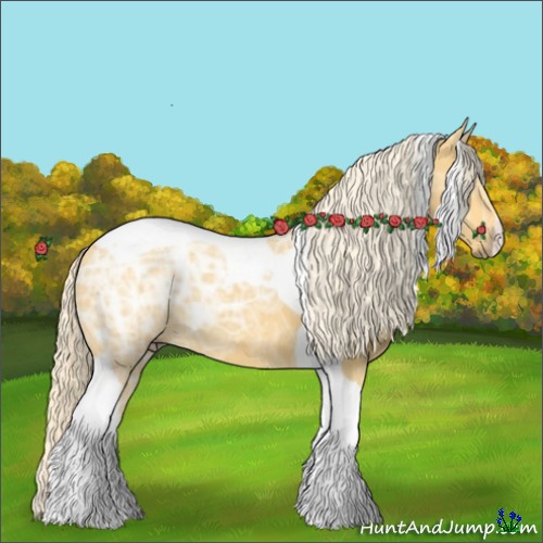Horse Color:Palomino Ice Tobiano