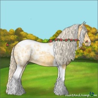 Horse Color:Palomino Ice Tobiano