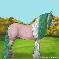 Horse Color:Watercolor Buckskin Roan Tobiano 
