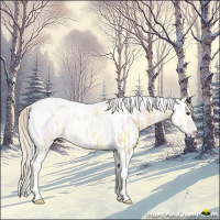 Horse Color:Silver Buckskin Ice Dun Tobiano 