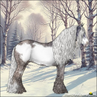 Horse Color:Silver Perlino Ice Dun Frame 