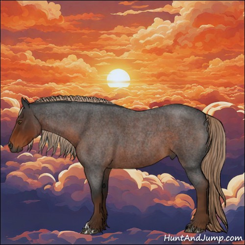 Horse Color:Gray Liver Red Roan 