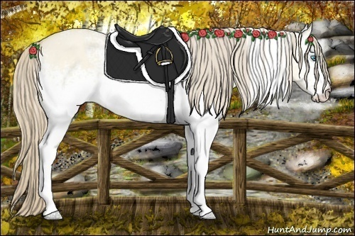 Horse Color:White Spotted Perlino Dun 