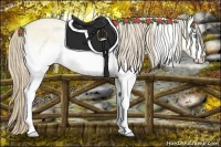 Horse Color:White Spotted Perlino Dun 