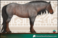 Horse Color:Gray Liver Red Roan