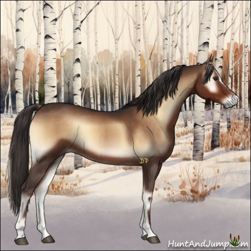 Horse Color:Liver Red Onyx Sabino 