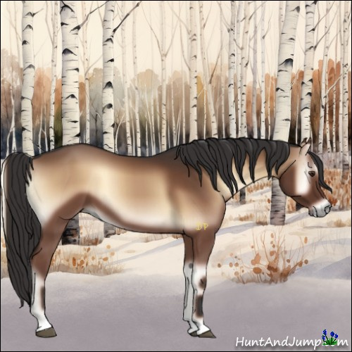 Horse Color:Liver Red Onyx 