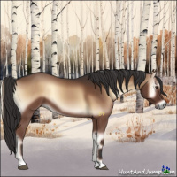 Horse Color:Liver Red Onyx 