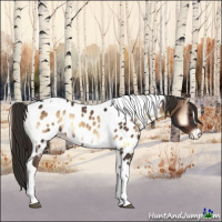 Horse Color:Liver Red Onyx Sabino Tobiano Appaloosa 