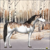 Horse Color:White Spotted Liver Red Onyx 