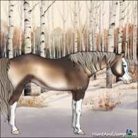 Horse Color:Liver Red Onyx Splash 