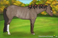 Horse Color:Liver Red Dun Rabicano 