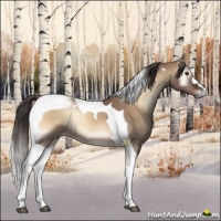 Horse Color:Liver Red Dun Onyx Tobiano