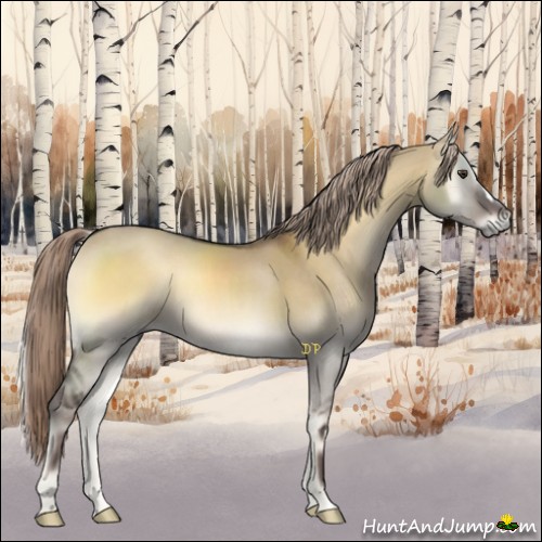 Horse Color:Chocolate Palomino Onyx 