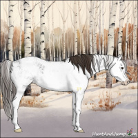 Horse Color:Liver Chestnut Sabino Splash