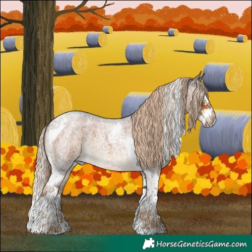Horse Color:Chocolate Palomino Roan Splash Tobiano 