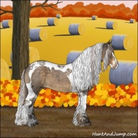 Horse Color:Chocolate Palomino Roan Splash Tobiano