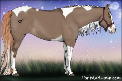 Horse Color:Liver Red Dun Splash Tobiano Rabicano 
