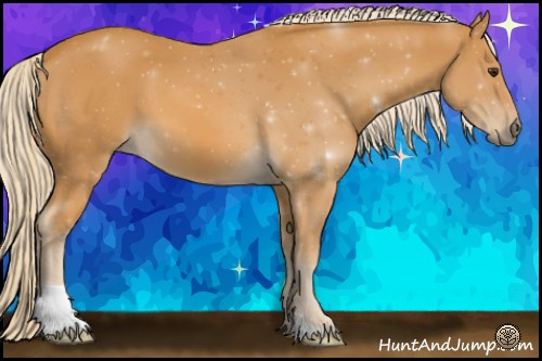 Horse Color:Palomino