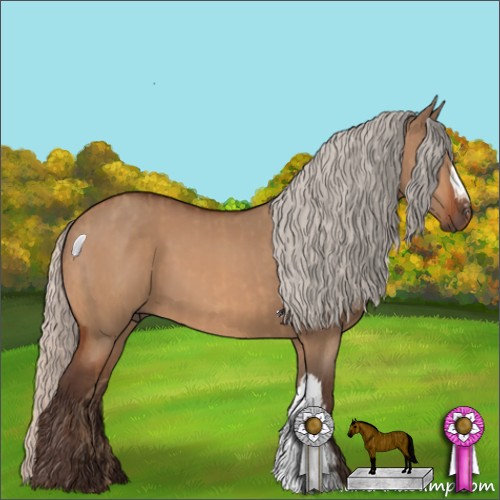 Horse Color:Silver Bay Dun  and Silver Brown Dun 