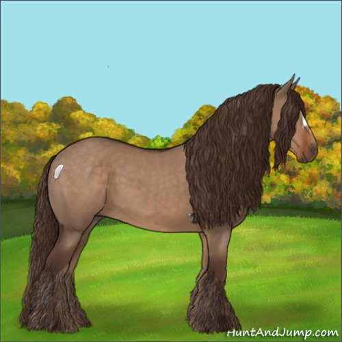 Horse Color:Liver Red Dun 