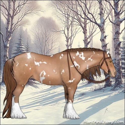 Horse Color:White Spotted Bay Pearl Sabino 