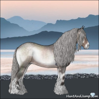 Horse Color:Platinum Silver Brown Roan Onyx Sabino 