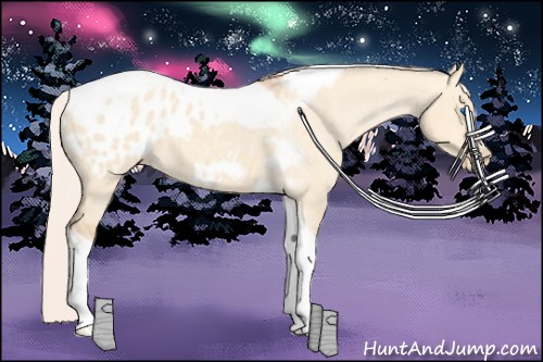 Horse Color:Silver Amber Champagne Roan Dun Splash Tobiano Frame Blanket Rabicano
