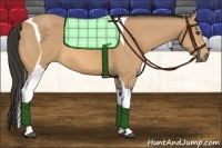 Horse Color:Buckskin Tobiano